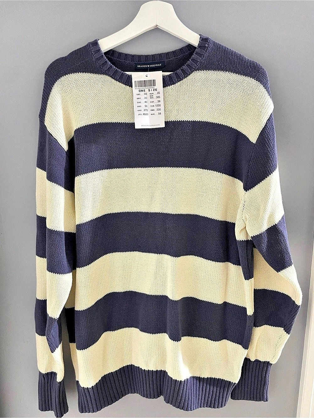 Banana Republic Striped Crewneck Sweater in Blue & Cream Size Medium NWT
